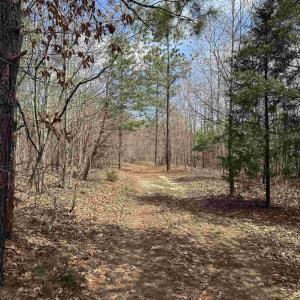 Photo #5 of 438 MOUNTAIN TOP DR, NEW CANTON, VA 227.8 acres