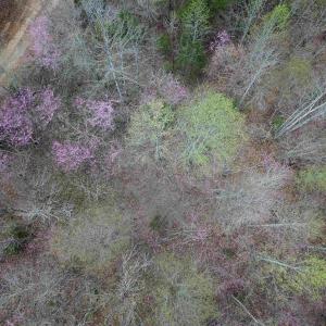 Photo #18 of 438 MOUNTAIN TOP DR, NEW CANTON, VA 227.8 acres
