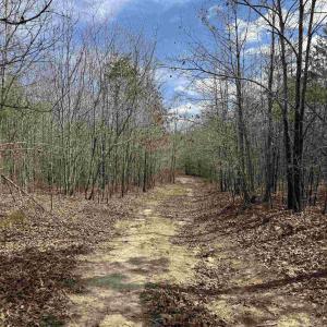 Photo #6 of 438 MOUNTAIN TOP DR, NEW CANTON, VA 227.8 acres