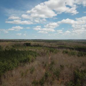 Photo #10 of 438 MOUNTAIN TOP DR, NEW CANTON, VA 227.8 acres