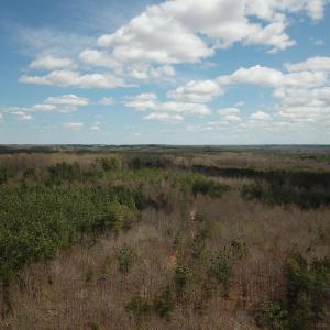 Photo #13 of 438 MOUNTAIN TOP DR, NEW CANTON, VA 227.8 acres