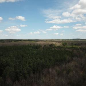 Photo #19 of 438 MOUNTAIN TOP DR, NEW CANTON, VA 227.8 acres