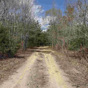 Photo #8 of 438 MOUNTAIN TOP DR, NEW CANTON, VA 227.8 acres