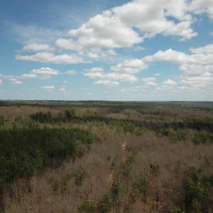 Photo #11 of 438 MOUNTAIN TOP DR, NEW CANTON, VA 227.8 acres