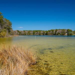 Photo #9 of FOX POINT RD, REEDVILLE, VA 58.4 acres