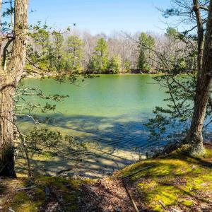 Photo #27 of FOX POINT RD, REEDVILLE, VA 58.4 acres