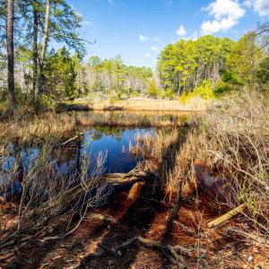 Photo #15 of FOX POINT RD, REEDVILLE, VA 58.4 acres