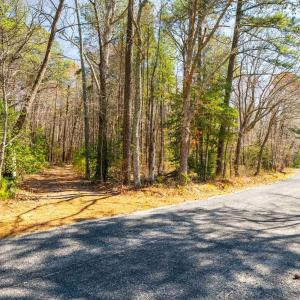 Photo #6 of FOX POINT RD, REEDVILLE, VA 58.4 acres