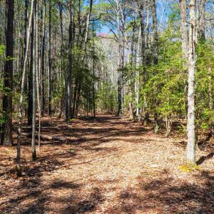 Photo #24 of FOX POINT RD, REEDVILLE, VA 58.4 acres