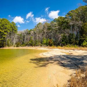 Photo #19 of FOX POINT RD, REEDVILLE, VA 58.4 acres