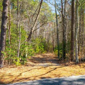 Photo #17 of FOX POINT RD, REEDVILLE, VA 58.4 acres