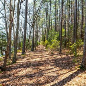 Photo #26 of FOX POINT RD, REEDVILLE, VA 58.4 acres