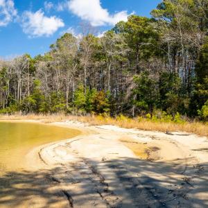 Photo #18 of FOX POINT RD, REEDVILLE, VA 58.4 acres