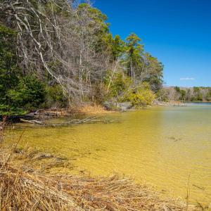 Photo #12 of FOX POINT RD, REEDVILLE, VA 58.4 acres