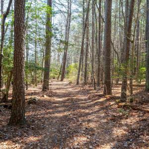 Photo #25 of FOX POINT RD, REEDVILLE, VA 58.4 acres