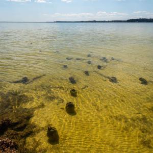 Photo #8 of FOX POINT RD, REEDVILLE, VA 58.4 acres