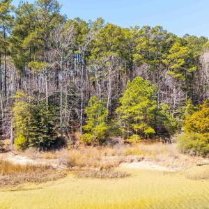 Photo #35 of FOX POINT RD, REEDVILLE, VA 58.4 acres