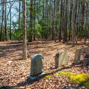Photo #28 of FOX POINT RD, REEDVILLE, VA 58.4 acres