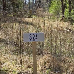 Photo #3 of 562 LOCUST DR, LOUISA, VA 0.2 acres