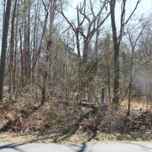 Photo #4 of 562 LOCUST DR, LOUISA, VA 0.2 acres