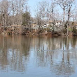 Photo #14 of 562 LOCUST DR, LOUISA, VA 0.2 acres