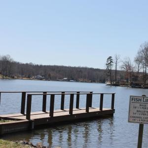 Photo #19 of 562 LOCUST DR, LOUISA, VA 0.2 acres