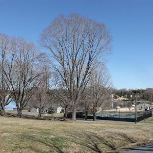 Photo #9 of 562 LOCUST DR, LOUISA, VA 0.2 acres