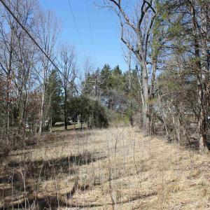 Photo #7 of 562 LOCUST DR, LOUISA, VA 0.2 acres