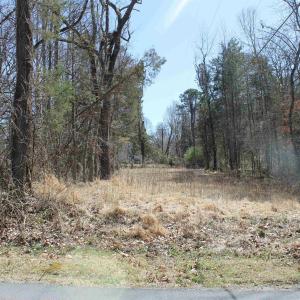 Photo #5 of 562 LOCUST DR, LOUISA, VA 0.2 acres