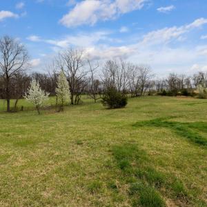 Photo #22 of 12039 HUPP RD, BROADWAY, VA 8.2 acres
