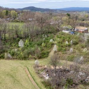 Photo #11 of 12039 HUPP RD, BROADWAY, VA 8.2 acres