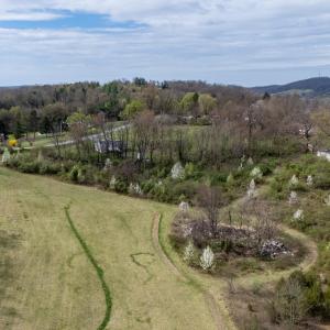 Photo #10 of 12039 HUPP RD, BROADWAY, VA 8.2 acres