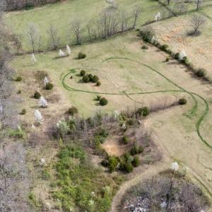 Photo #7 of 12039 HUPP RD, BROADWAY, VA 8.2 acres