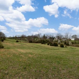 Photo #21 of 12039 HUPP RD, BROADWAY, VA 8.2 acres