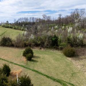 Photo #14 of 12039 HUPP RD, BROADWAY, VA 8.2 acres