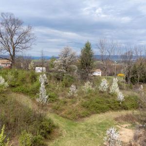 Photo #13 of 12039 HUPP RD, BROADWAY, VA 8.2 acres