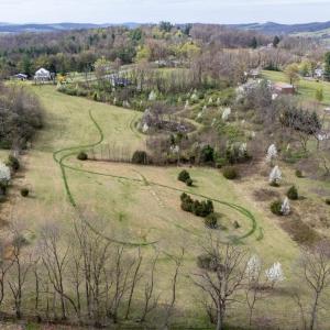 Photo #9 of 12039 HUPP RD, BROADWAY, VA 8.2 acres
