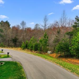 Photo #9 of Lot 75 LOGAN DR, RUCKERSVILLE, VA 5.4 acres