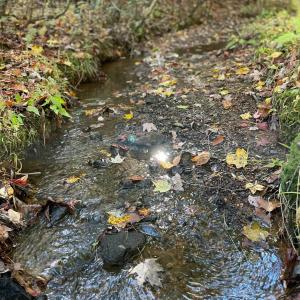 Photo #21 of GARLAND DR, CHARLOTTESVILLE, VA 583.0 acres