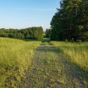 Photo #15 of GARLAND DR, CHARLOTTESVILLE, VA 583.0 acres