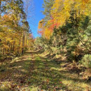 Photo #18 of GARLAND DR, CHARLOTTESVILLE, VA 583.0 acres