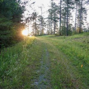 Photo #7 of GARLAND DR, CHARLOTTESVILLE, VA 583.0 acres