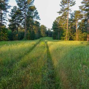 Photo #8 of GARLAND DR, CHARLOTTESVILLE, VA 583.0 acres