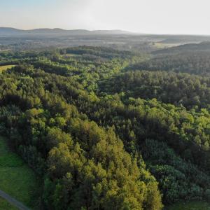 Photo #25 of GARLAND DR, CHARLOTTESVILLE, VA 583.0 acres