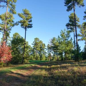 Photo #22 of GARLAND DR, CHARLOTTESVILLE, VA 583.0 acres