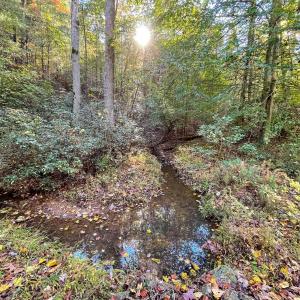 Photo #20 of GARLAND DR, CHARLOTTESVILLE, VA 583.0 acres