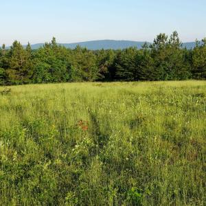 Photo #14 of GARLAND DR, CHARLOTTESVILLE, VA 583.0 acres