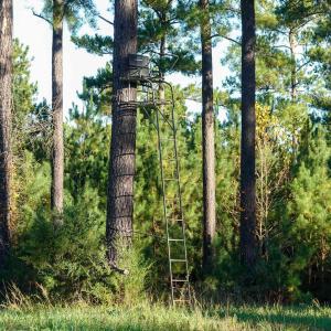 Photo #17 of GARLAND DR, CHARLOTTESVILLE, VA 583.0 acres