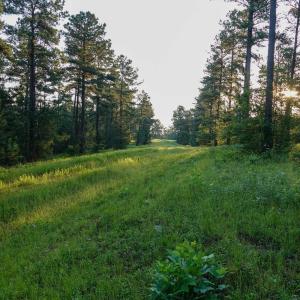 Photo #16 of GARLAND DR, CHARLOTTESVILLE, VA 583.0 acres