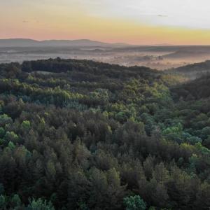 Photo #10 of GARLAND DR, CHARLOTTESVILLE, VA 583.0 acres